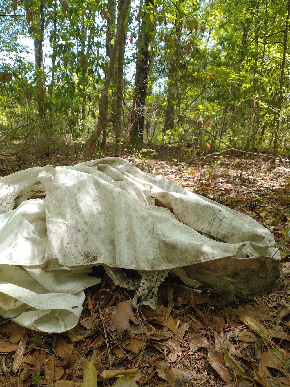 Ancestor Gathering- Williamsburg County, SC, documented 4/22